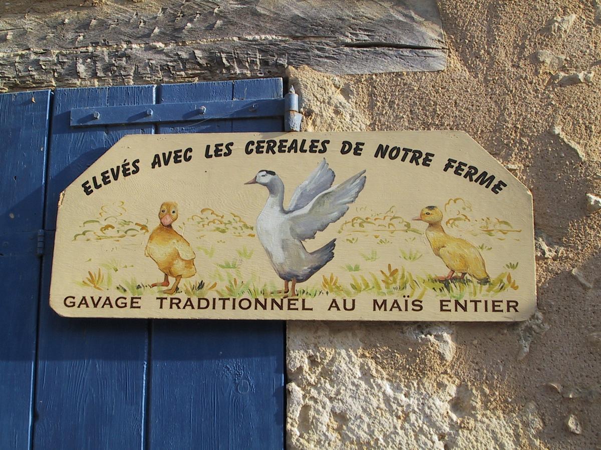 B&B La Ferme De La Patte D'Oie Saint-Michel  Buitenkant foto